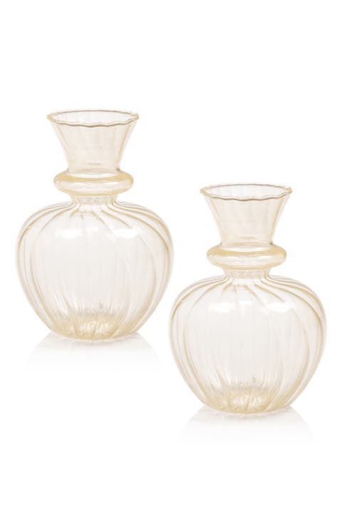 Treviso Piccola Set of 2 Vases
