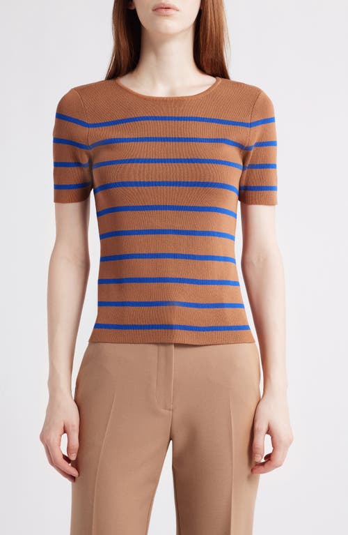 Tahari Asl Stripe Short Sleeve Sweater In Brown