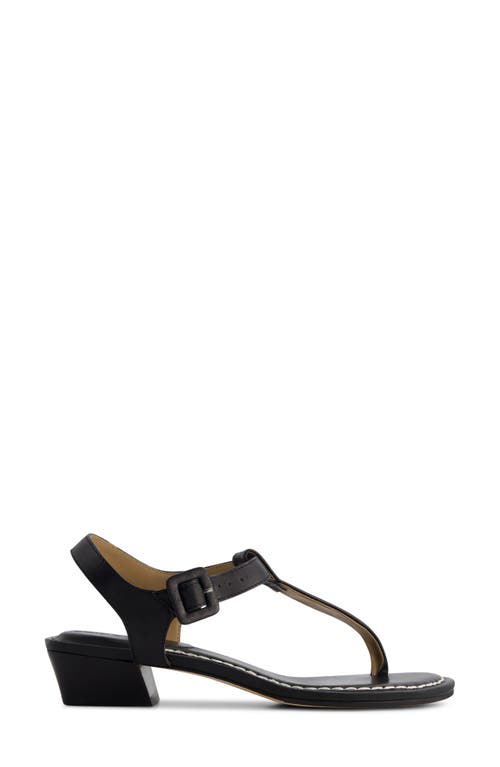 Bernardo Goya T-strap Sandal In Black