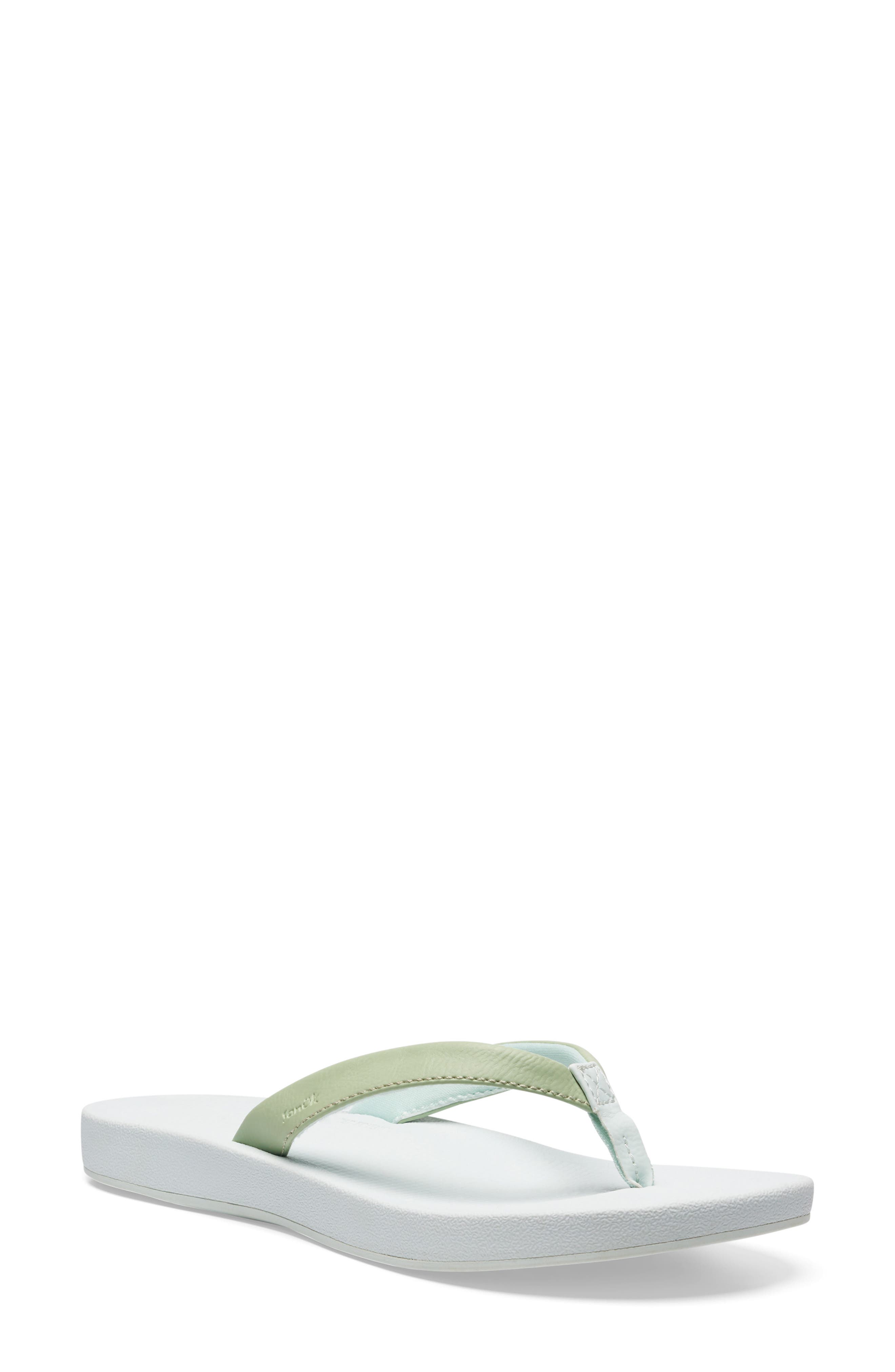  Laurel Green/ Spa Blue