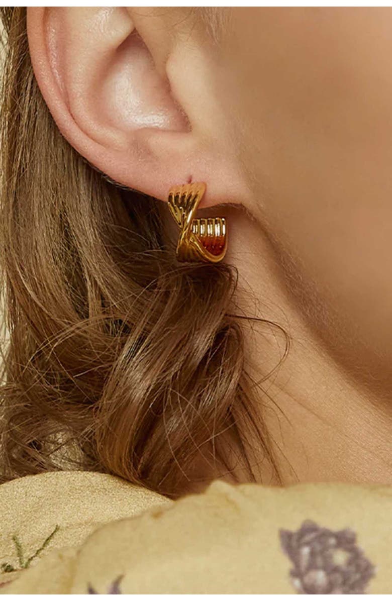 Bearfruit Jewelry 14k Gold Plated Maeve Huggies Dainty Hoop Earrings Trendy, Alternate, color, Gold