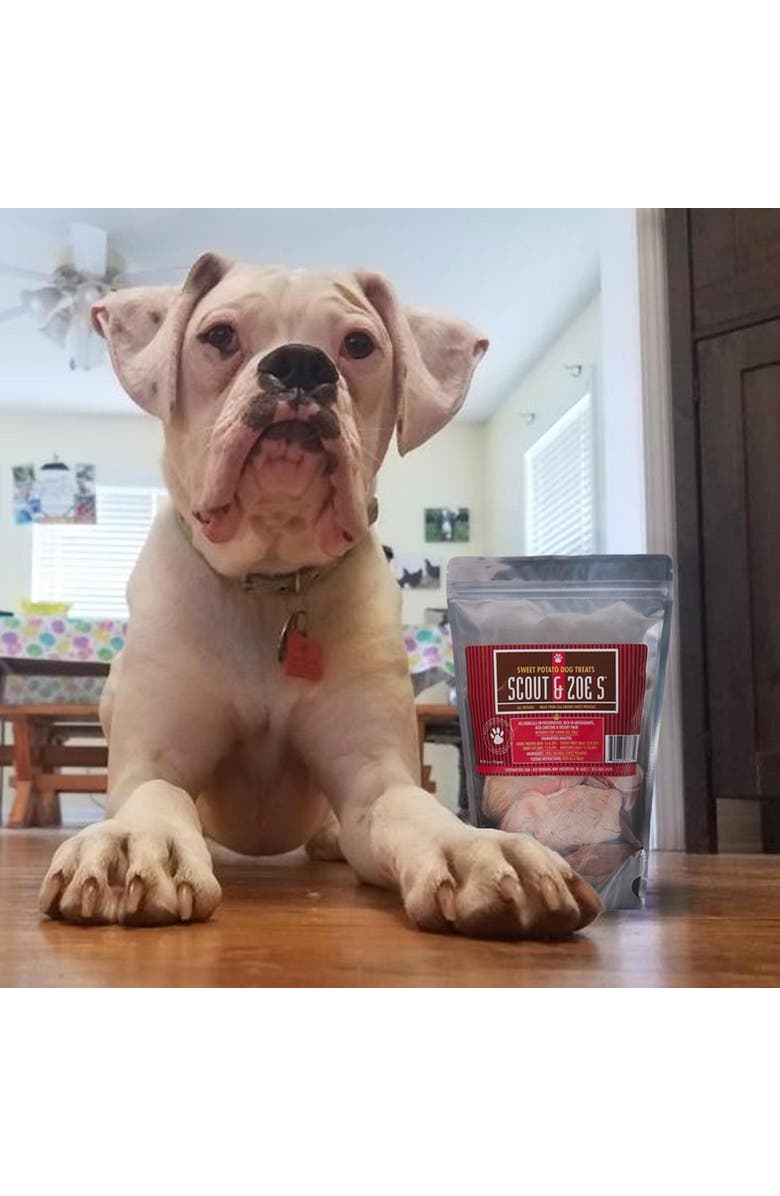 Scout & Zoe's Natural Sweet Potato, 6oz Dog & Cat Treats, Crunchy Pet Chews, Alternate, color, Multicolored