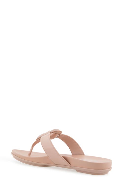 AEROSOLES AEROSOLES FALLON HARNESS SANDAL 