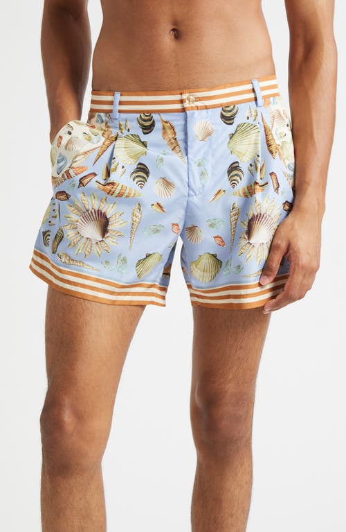 Dolce & Gabbana Dolce&gabbana Shell Print Swim Trunks In Blue