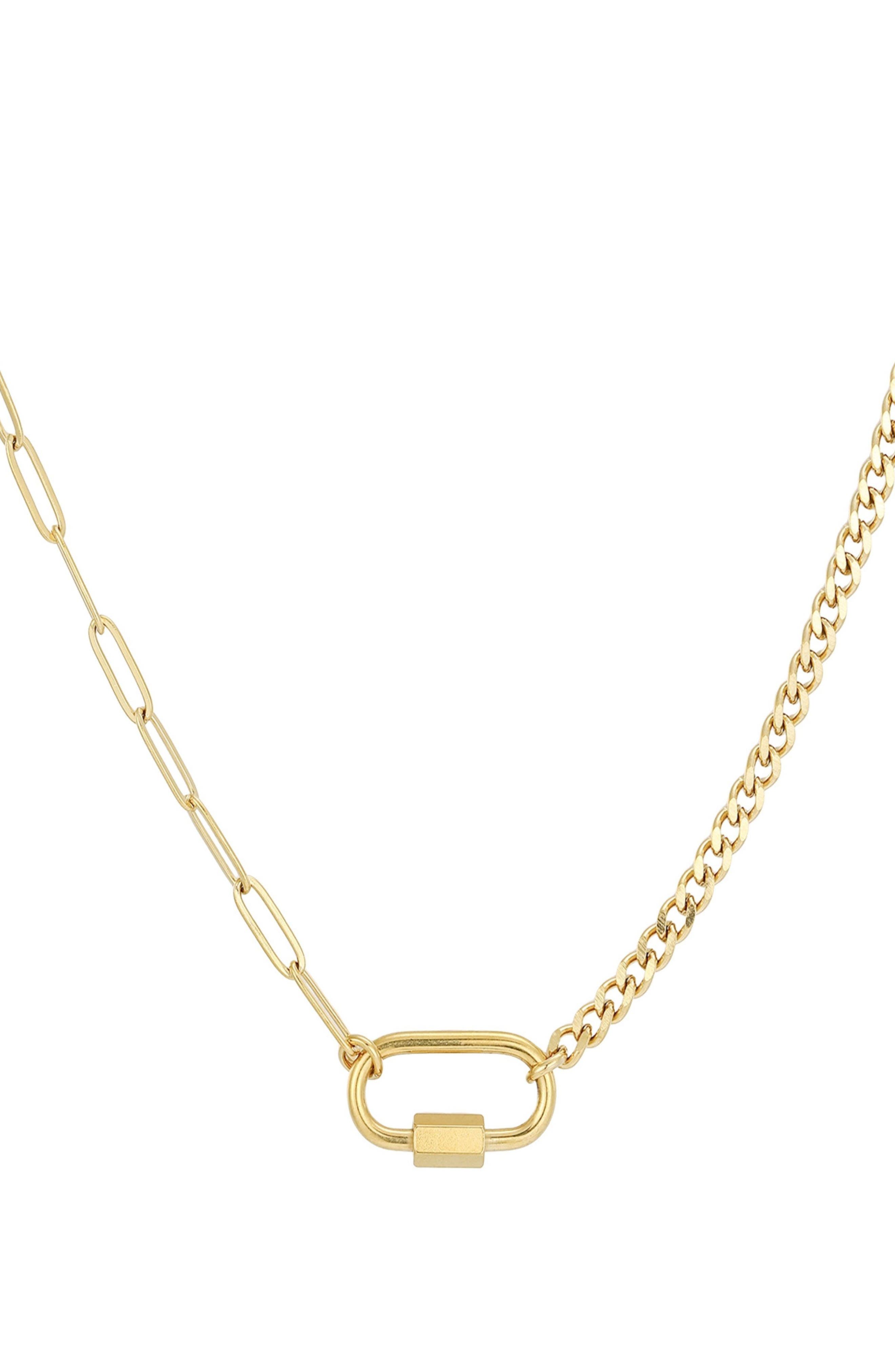 Adornia 18K Gold Plated Stainless Steel Carabiner Pendant Necklace