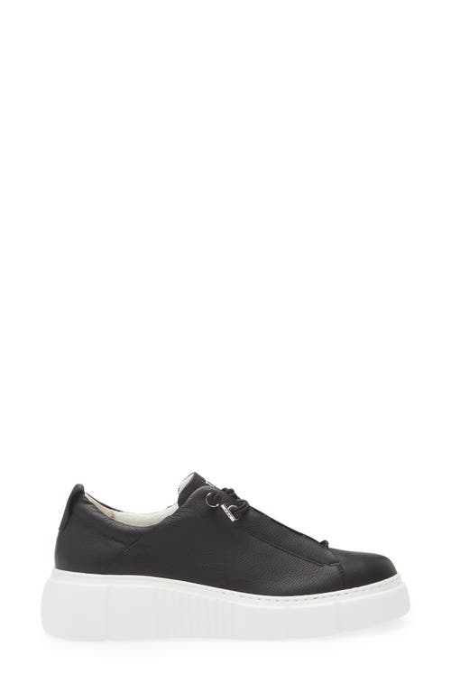 Paul Green Abbey Sneaker In Black Leather
