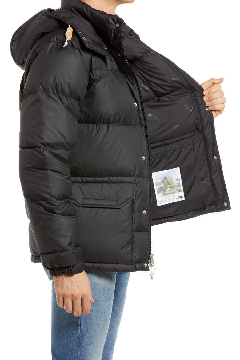 Sierra Sierra Hooded Down Parka, Alternate, color, TNF BLACK