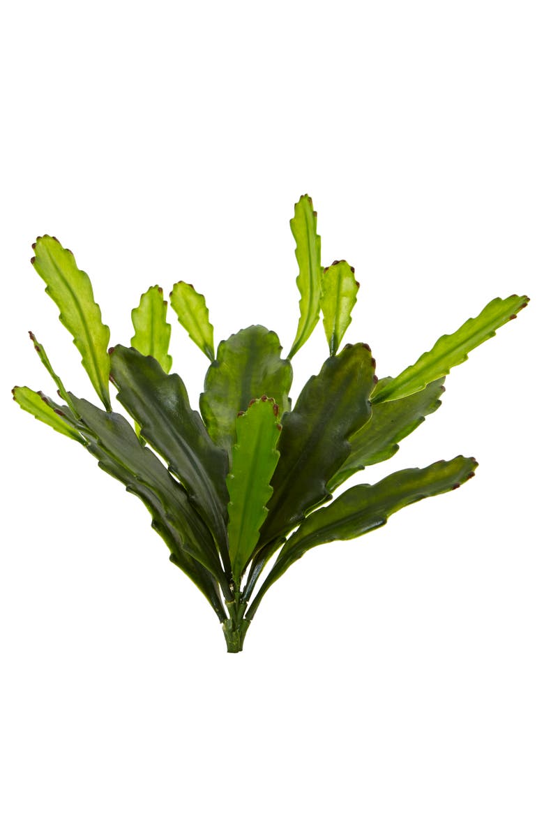 NEARLY NATURAL 14-in Epiphyllum Cactus Artificial Plant, Main, color, Green