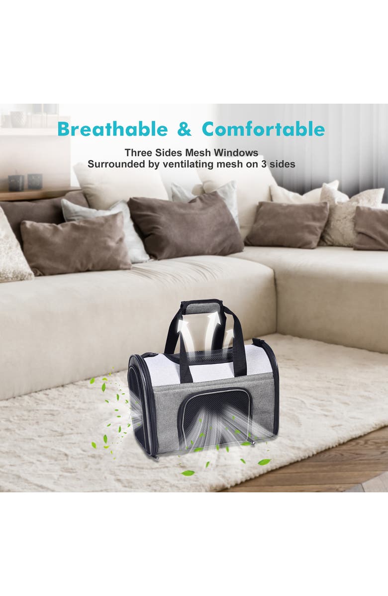 JESPET Sport Airline Pet Carrier 16", Alternate, color, Multicolored