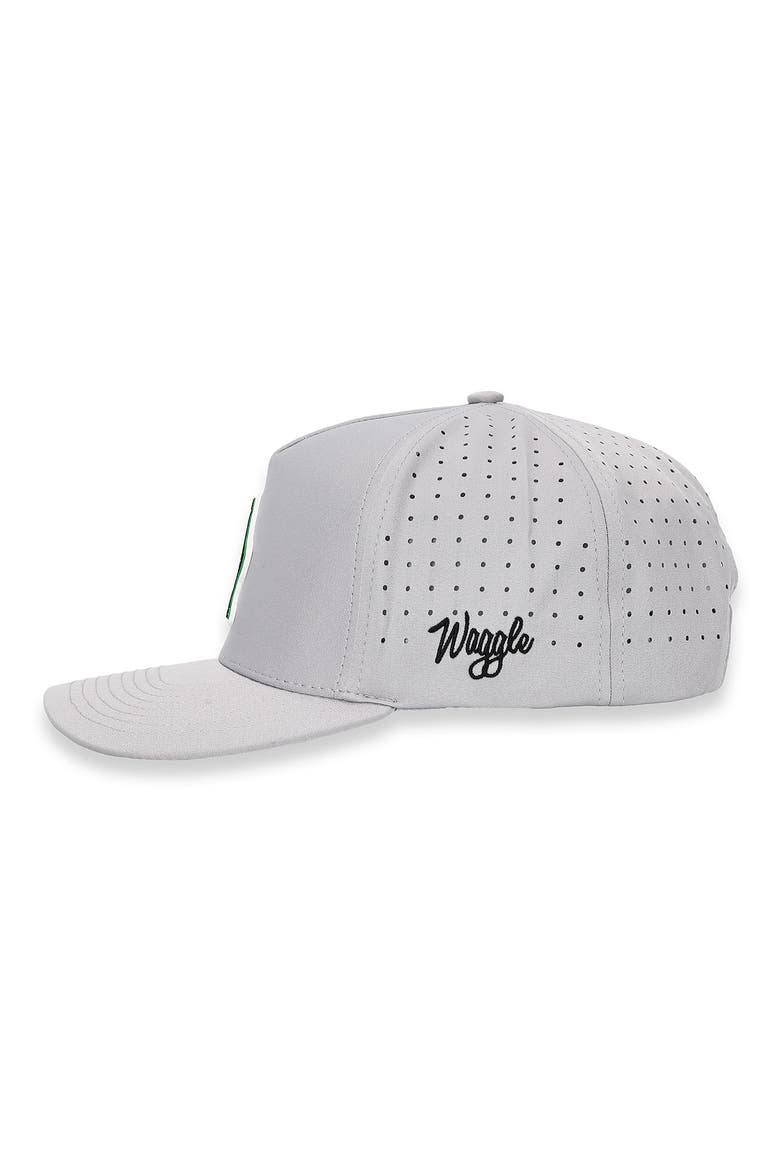 Battle of Parsburg Baseball Cap, Alternate, color, GRAY