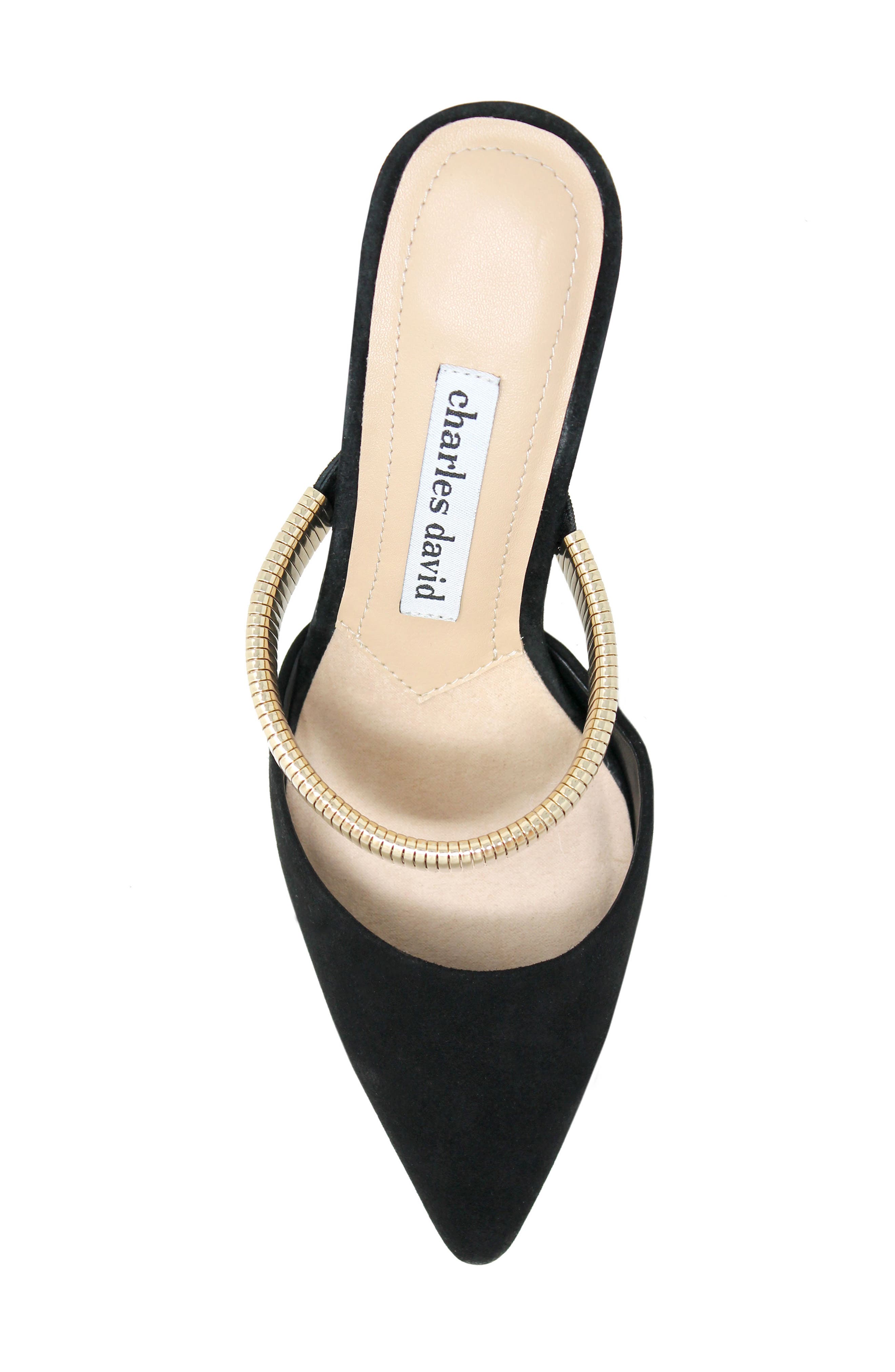Charles David Alfie Pointed Toe Mule, Alternate, color, 