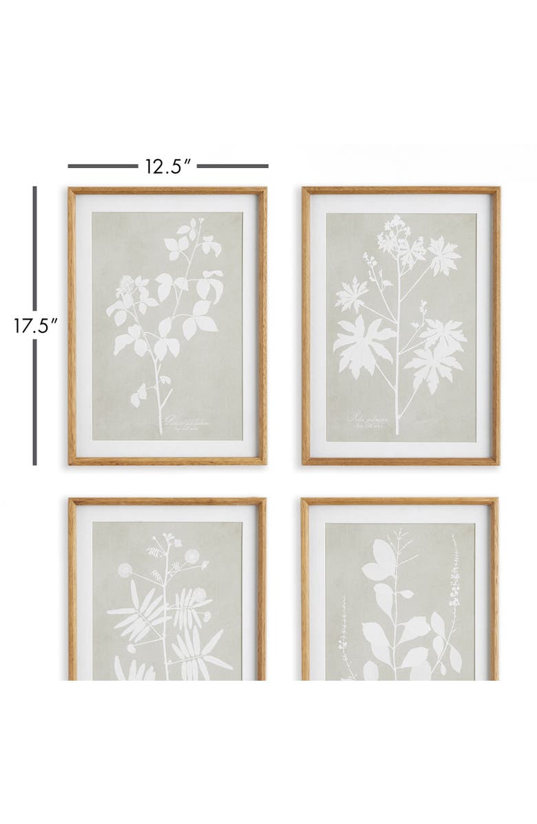 Napa Home & Garden Foliage Study Set of 4, Alternate, color, Grey