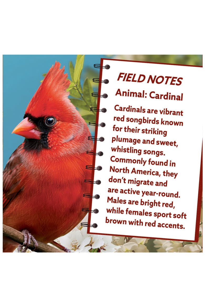 Cardinal 100 Piece Shaped Jigsaw Puzzle, Alternate, color, Multicolor