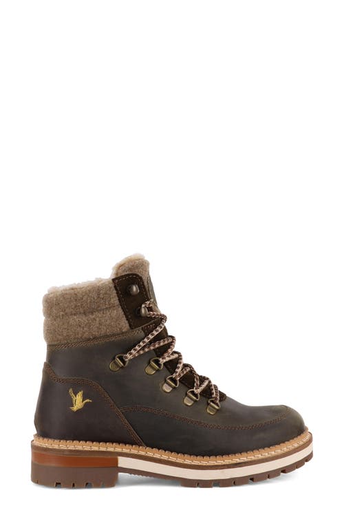 Santana Canada Cascade Waterproof Boot In Brown