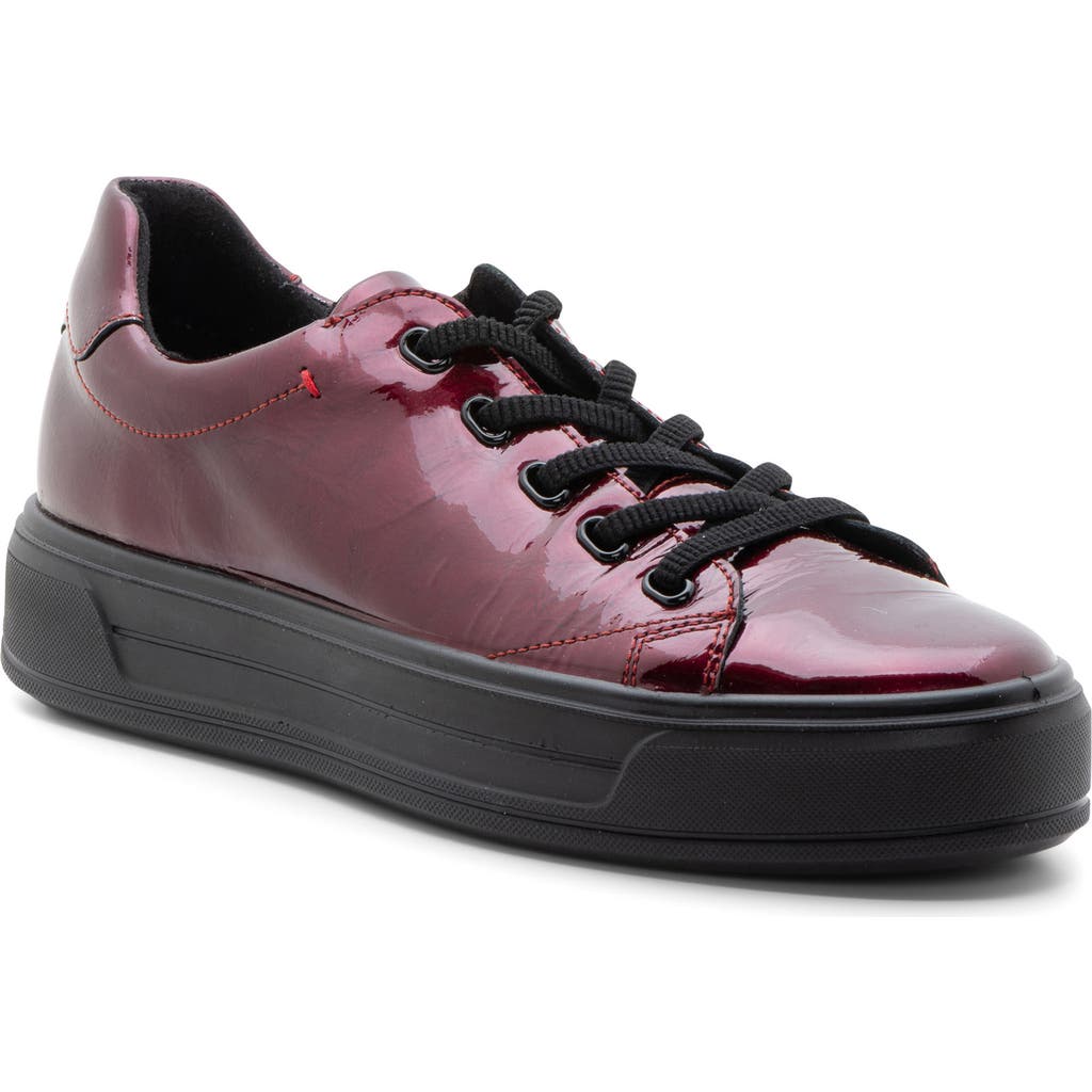 ara Crystal Platform Sneaker in Chilli