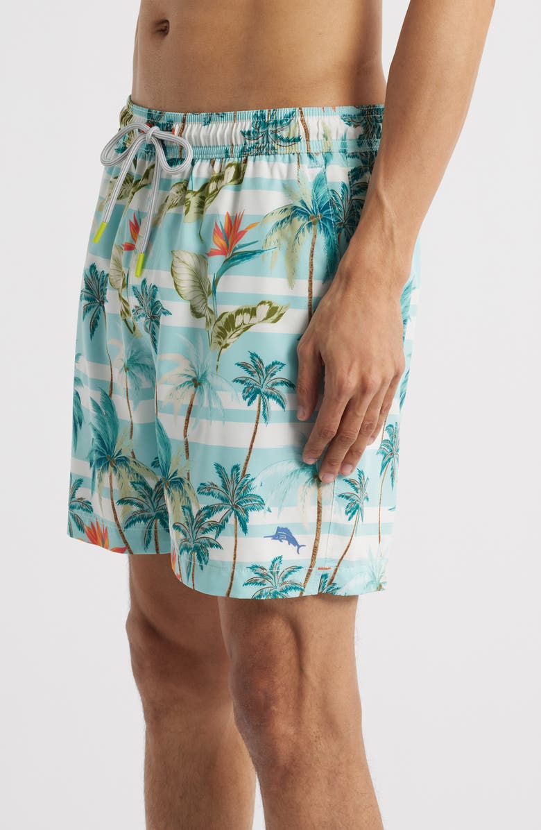 Tommy Bahama Naples Palmero Stripe Swim Trunks, Alternate, color, Spring Sky