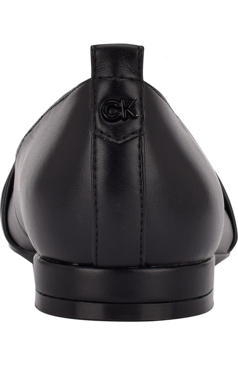 Calvin Klein Kendy Pointed Toe Flat, Alternate, color,