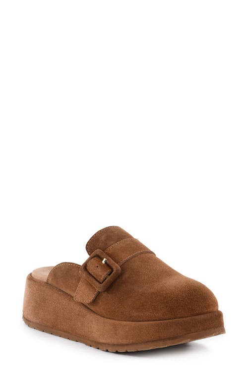 Seychelles Come Together Ii Platform Clog In Brown