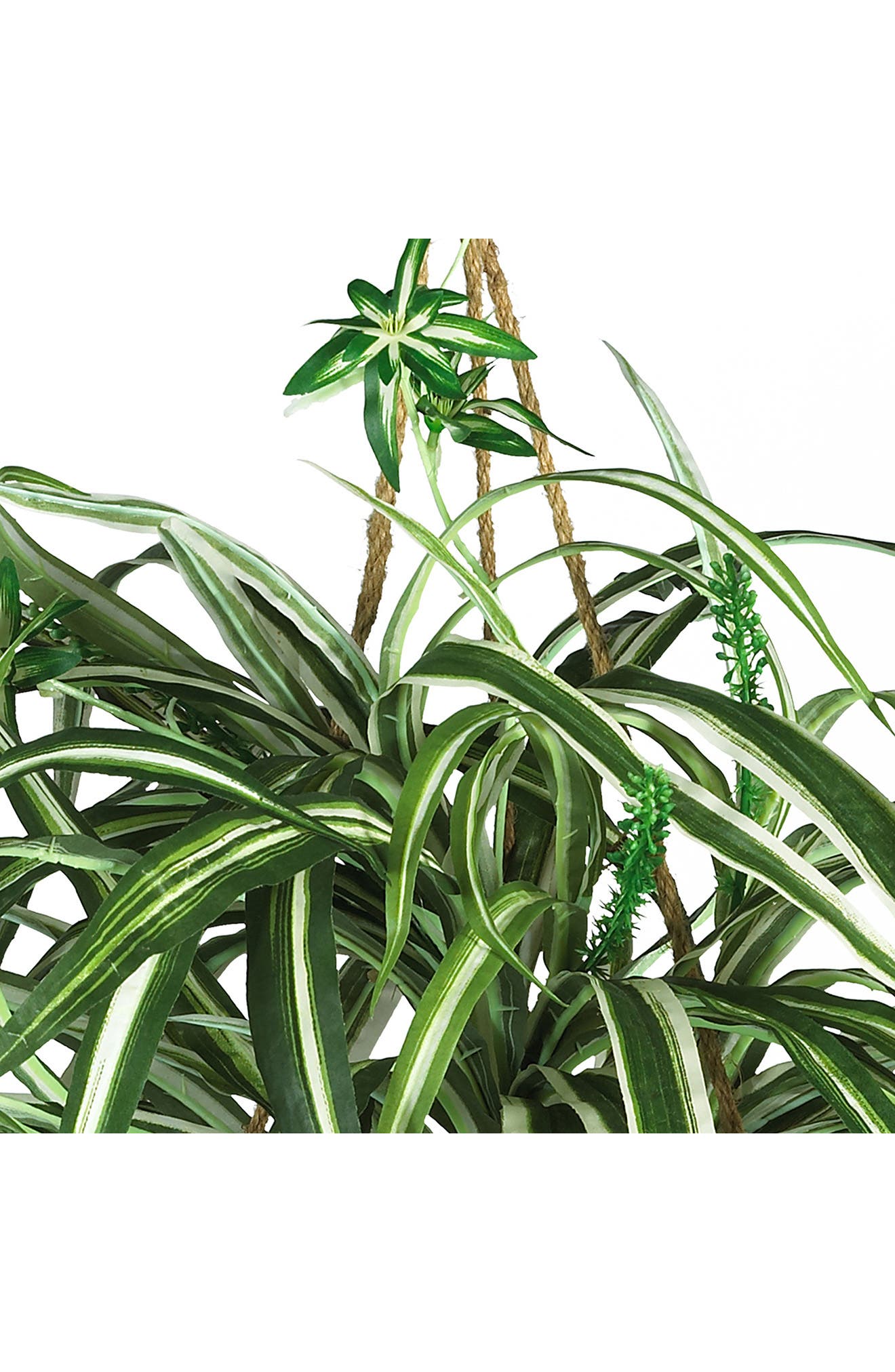 NEARLY NATURAL Spider Hanging Basket Artificial Plant | Nordstrom