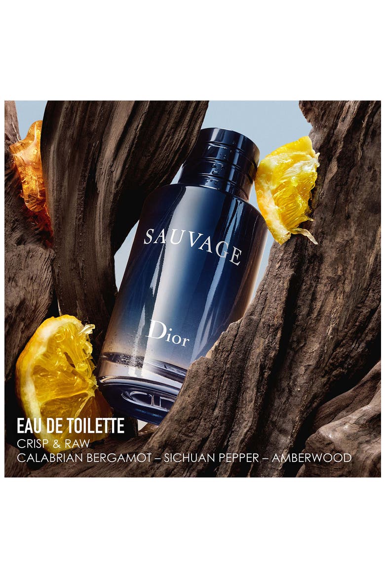 Sauvage Eau de Toilette & Deodorant Gift Set (Men) | Nordstrom