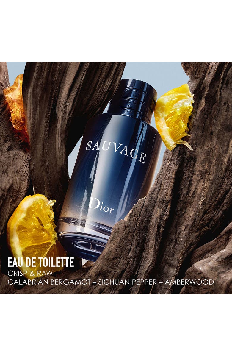 DIOR Sauvage Eau de Toilette & Deodorant Gift Set, Alternate, color, 