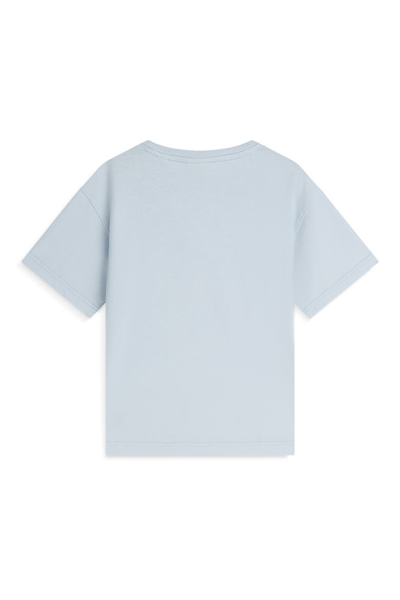 Kids' Relaxed Fit Acid Washed Graphic T-Shirt, Alternate, color, WINDSURFER