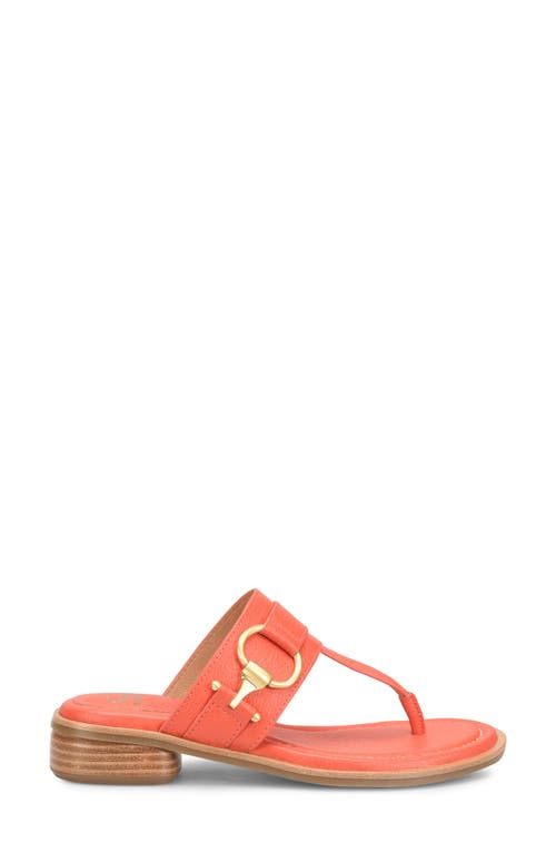 Söfft Fernanda Sandal