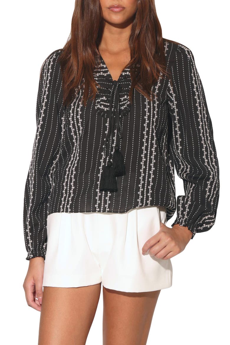 Cadence Embroidered Cotton Top, Main, color, BONITA EMBROIDERY