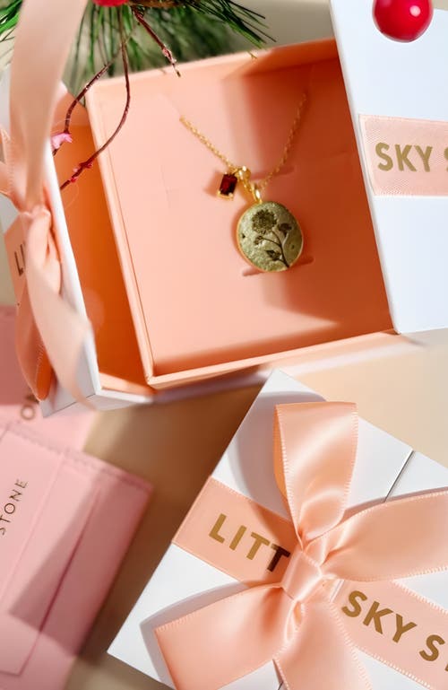 Little Sky Stone Mop Heart Charm Necklace