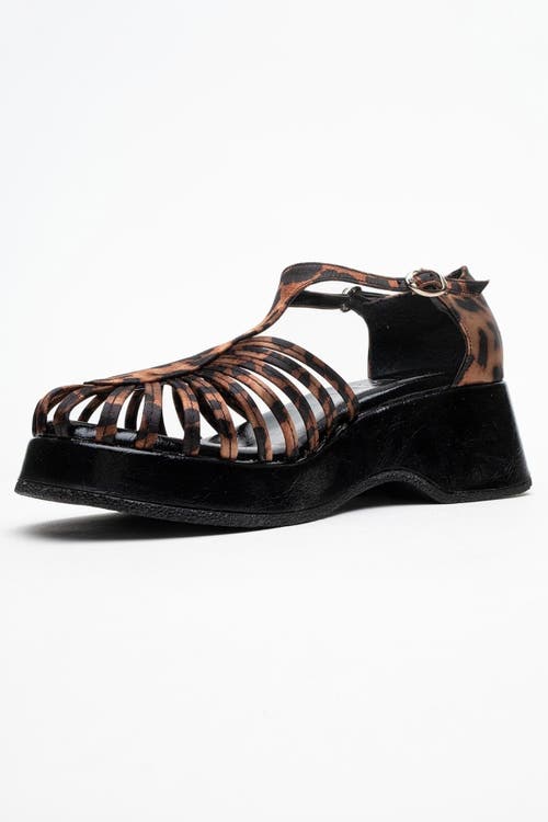 Prologue Shoes Aniel Platform Wedge Sandal In Animal Print