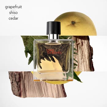 Terre d’Hermès - Pure Perfume