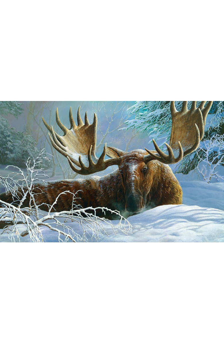 Sunsout Winter Blanket 550 piece Jigsaw Puzzle for Adults, Alternate, color, Multicolor