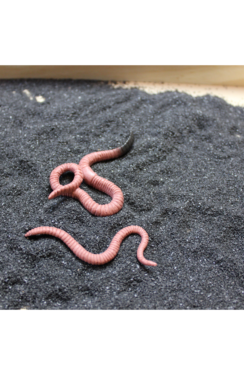 Safari Ltd. Life Cycle Of A Worm, Alternate, color, NO COLOR