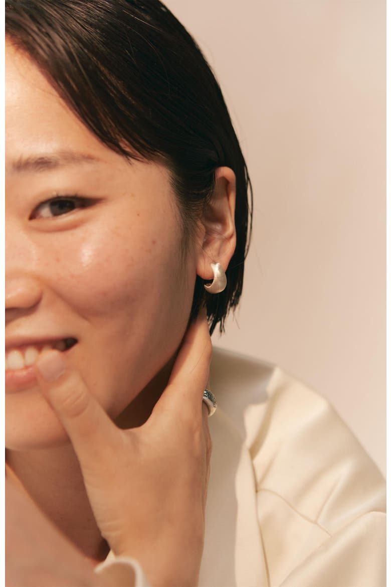 Curved Earrings, Alternate, color, Silver