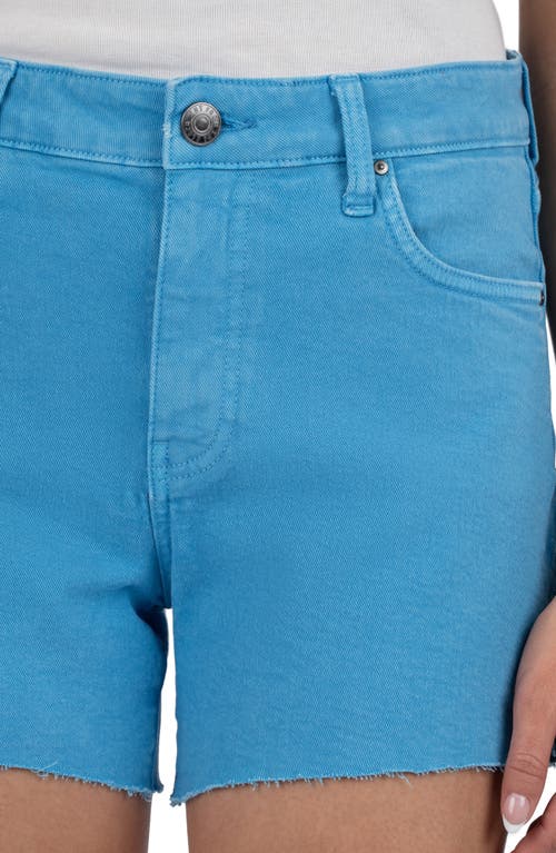 Kut From The Kloth Jane Raw Hem Mid Rise Denim Shorts