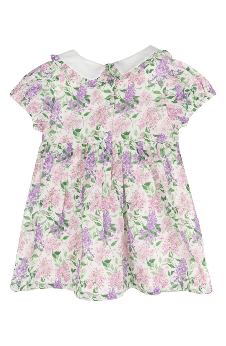 Rare Editions Peter Pan Collared Dress & Bloomers, Alternate, color, 