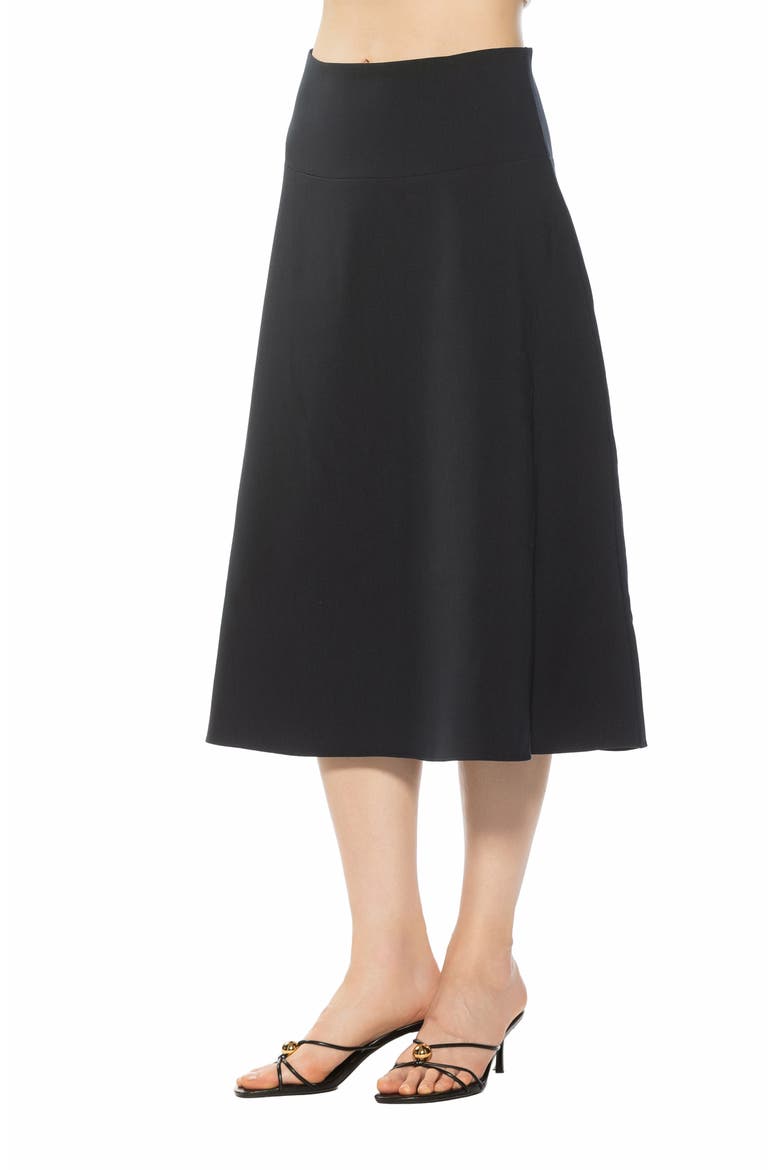 Maris Flared Midi Skirt, Alternate, color, NAVY