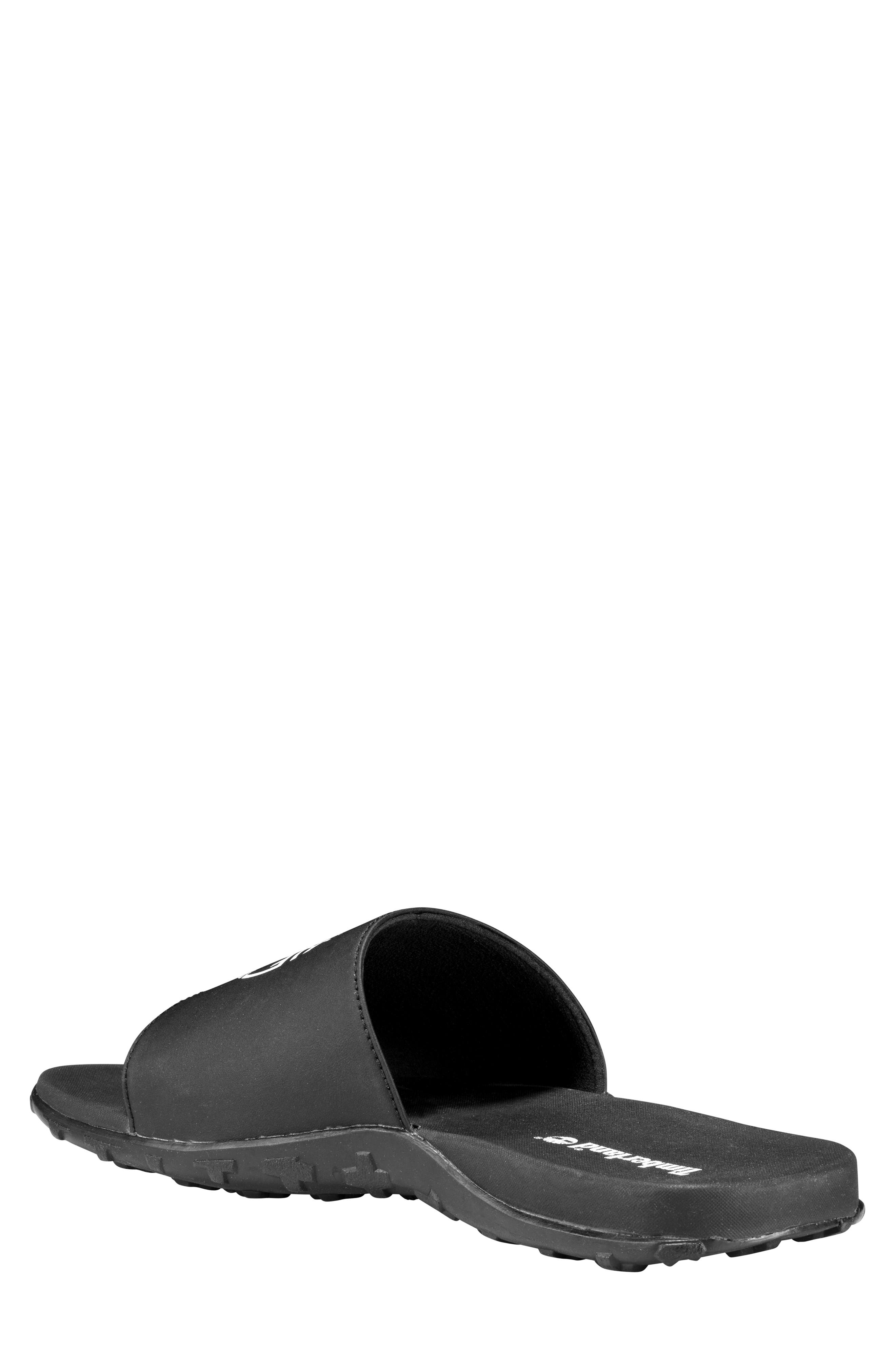 Timberland Fells Slide Sandal, Alternate, color, 