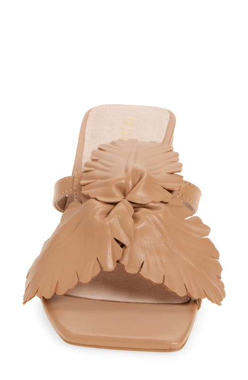 Cecelia New York Happy Leather Sandal In Tea