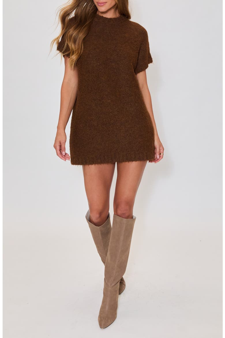 Hot Coco Sweater Minidress, Alternate, color, BROWN