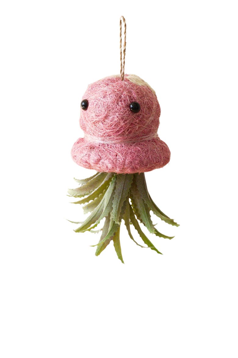 Coco Coir Hanging Planter for Air Plants, Main, color, Pink