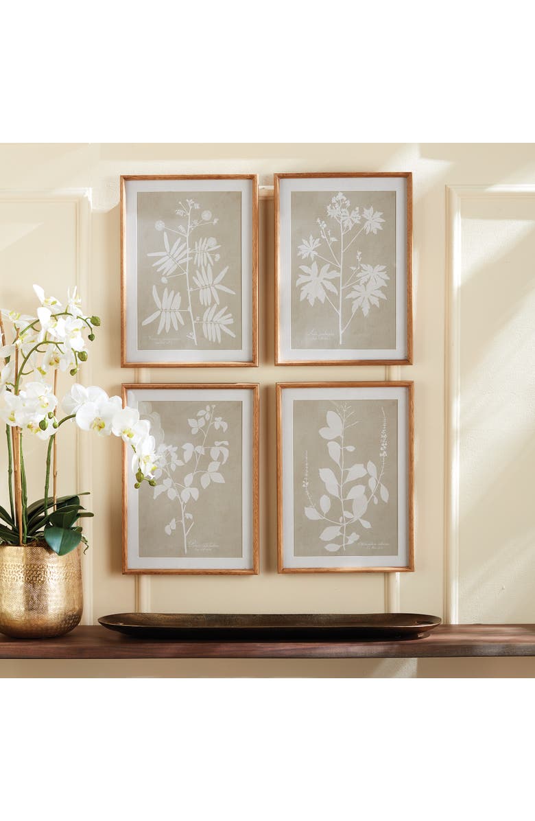 Napa Home & Garden Foliage Study Set of 4, Alternate, color, Grey