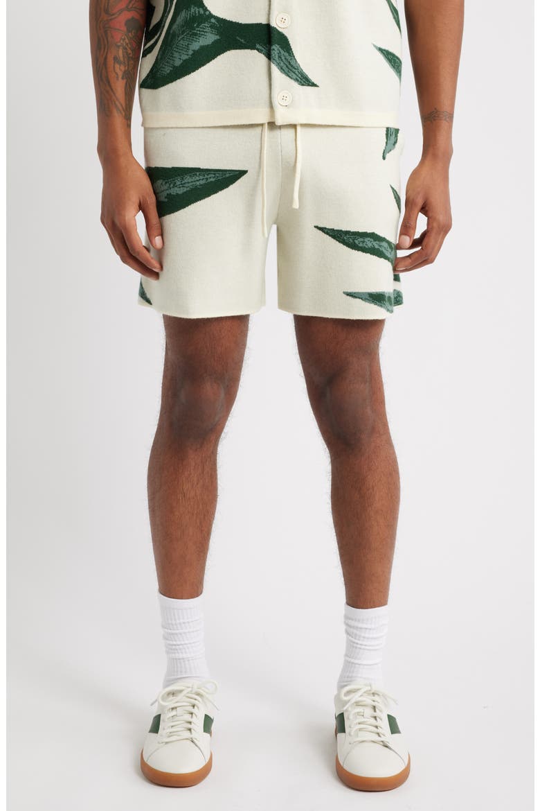 Jungle Knit Shorts, Main, color, BEIGE