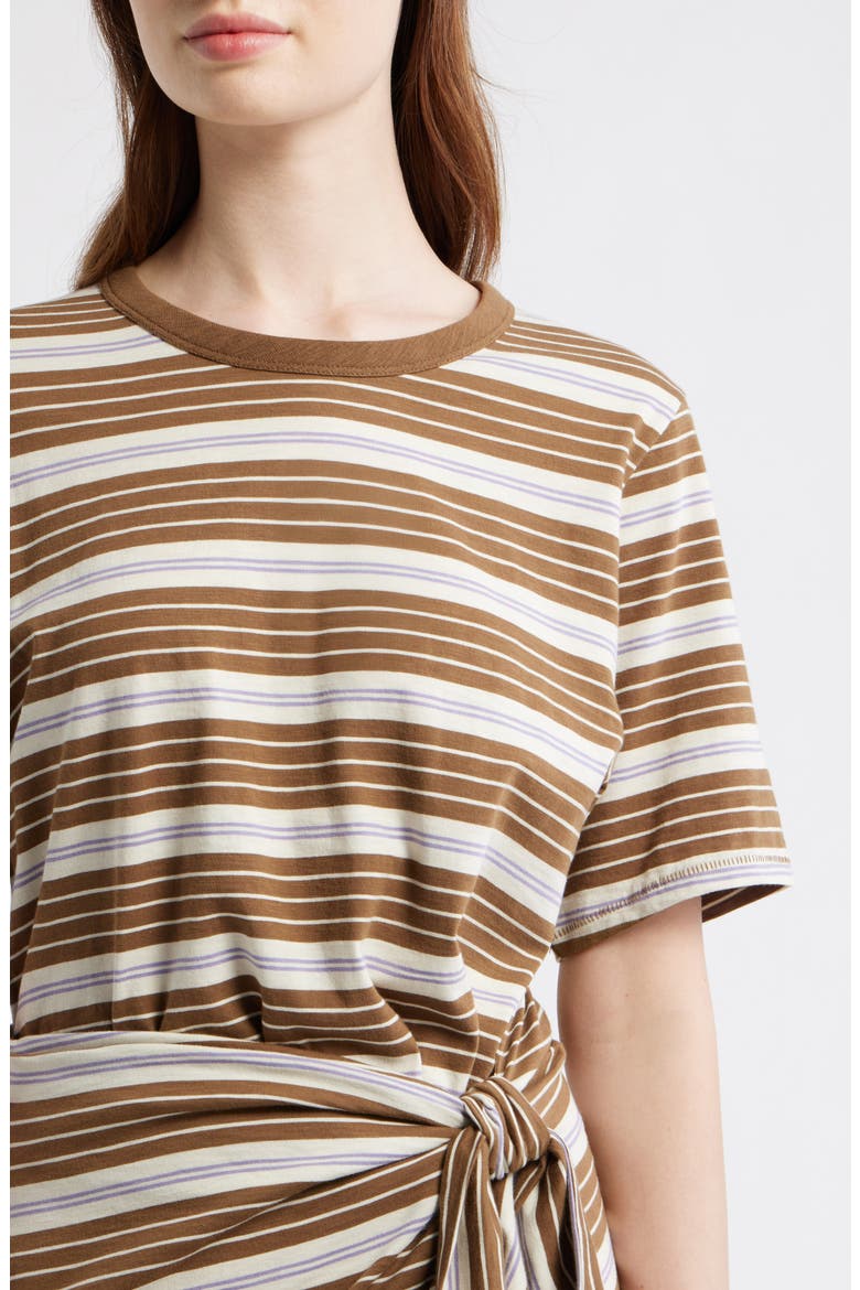 The Slub Stripe T-Shirt Maxi Dress, Alternate, color, BROWN MULTI