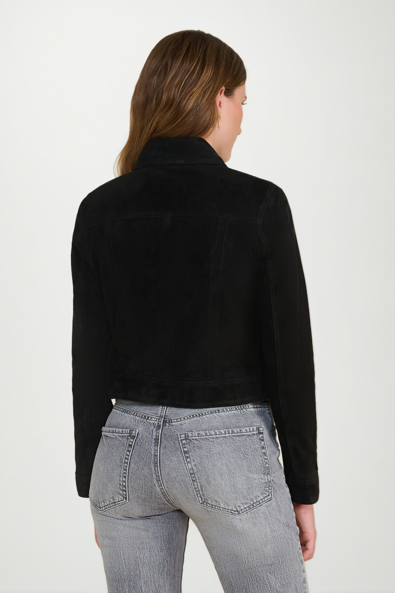 Isabella Suede Jacket, Alternate, color, Black