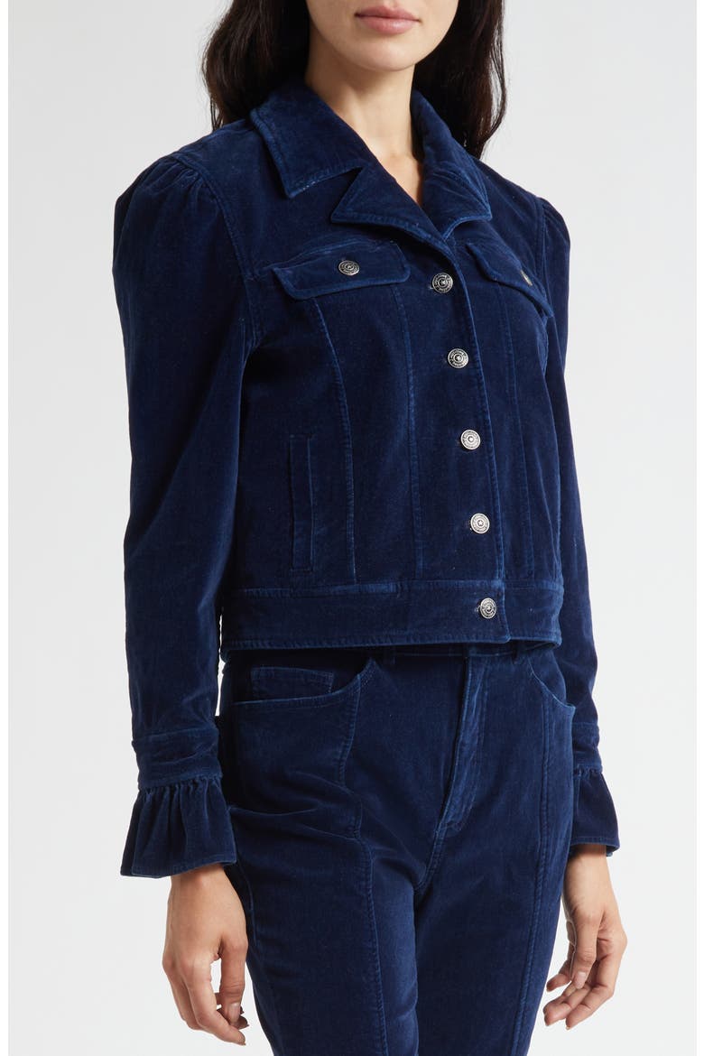 Deryn Crop Velvet Jacket, Alternate, color, ANNECY