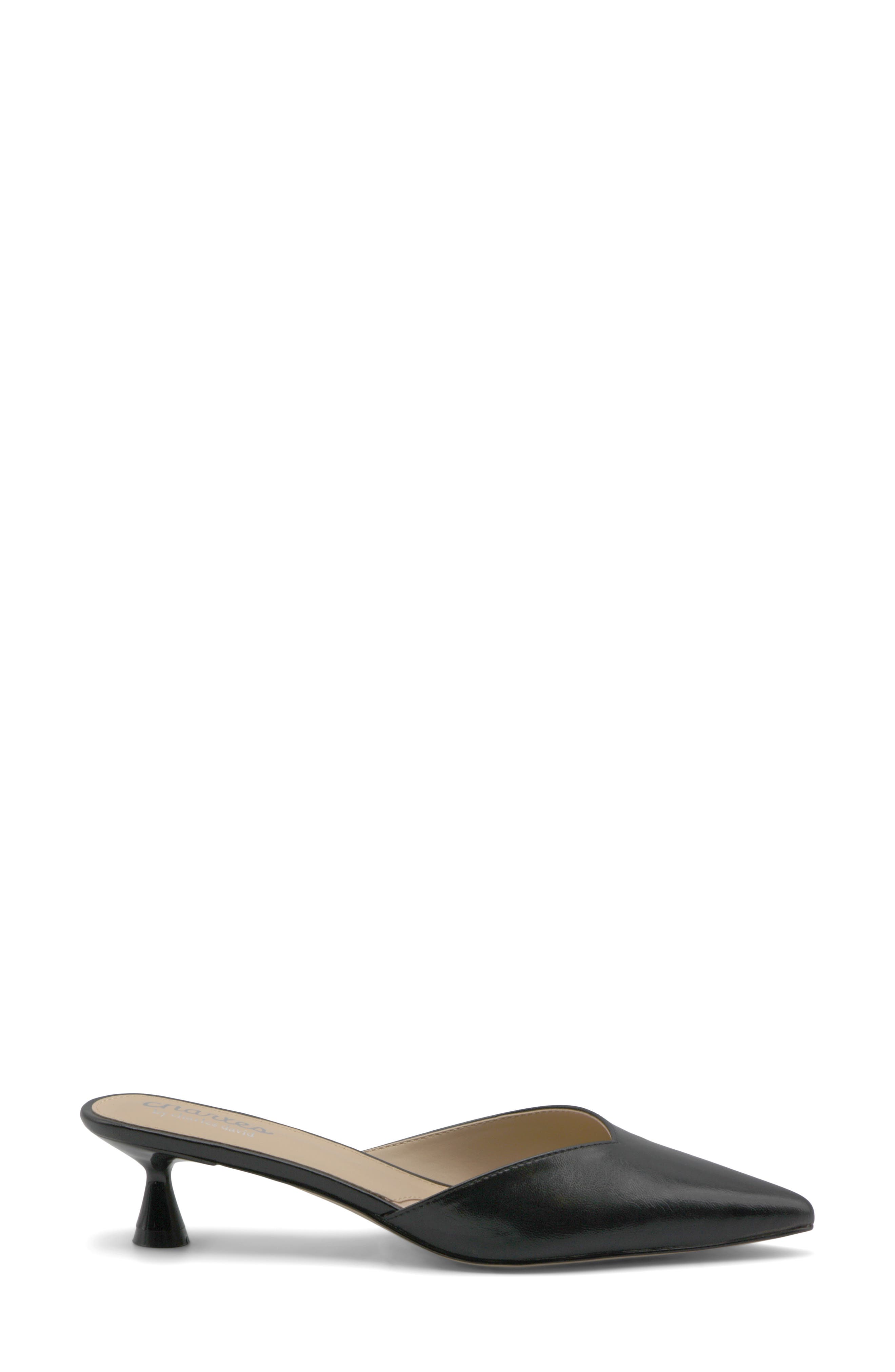 Charles by Charles David Aloe Water Resistant Pointed Toe Mule, Alternate, color, 