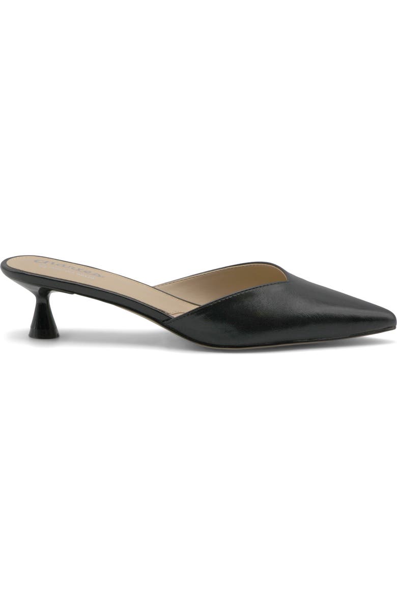 Charles by Charles David Aloe Water Resistant Pointed Toe Mule, Alternate, color,