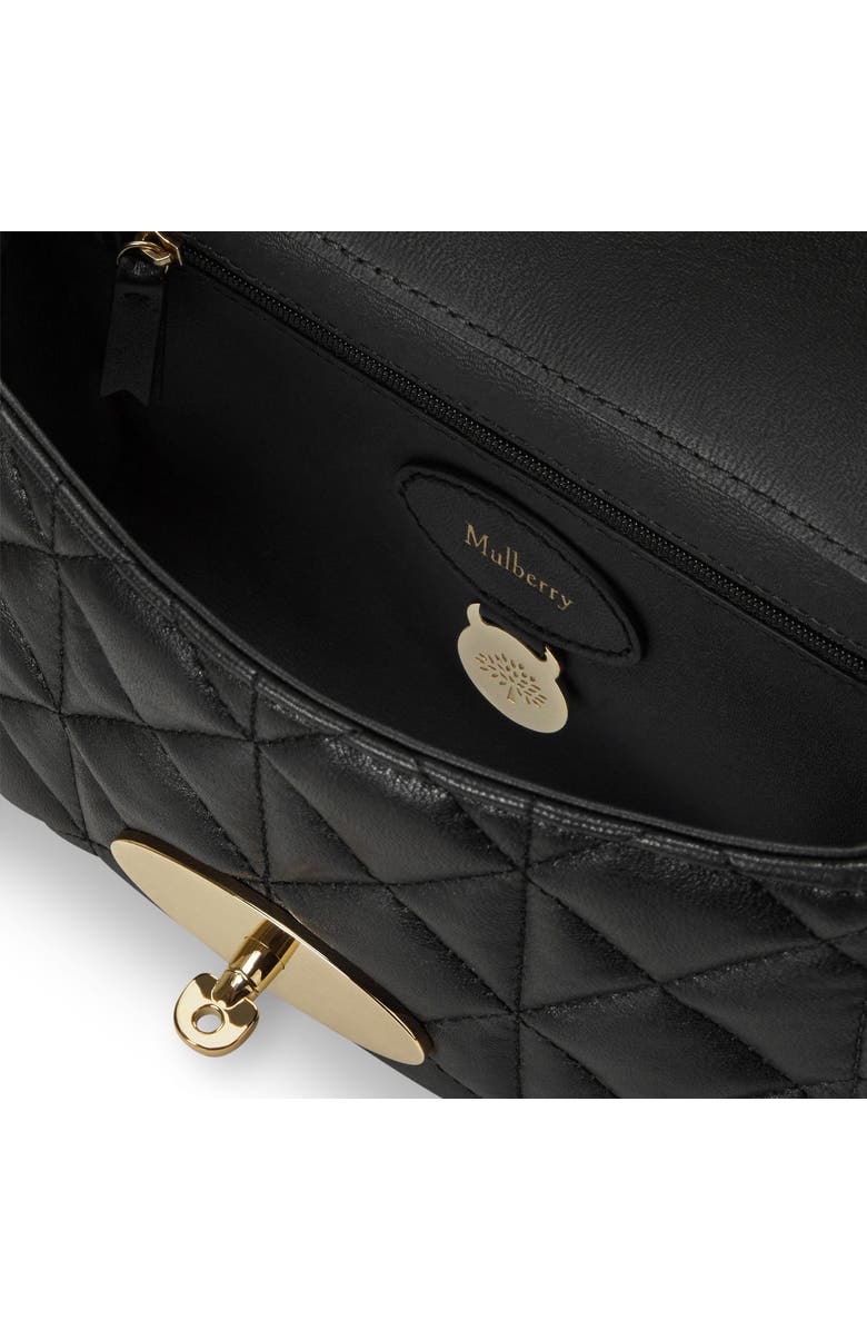 Mulberry Lily, Alternate, color,