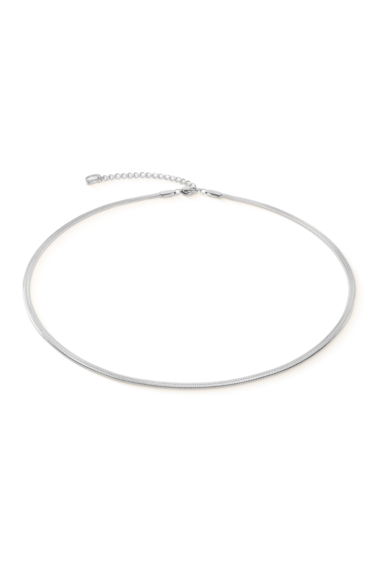 Flat Snake Chain Necklace, Main, color, Silver